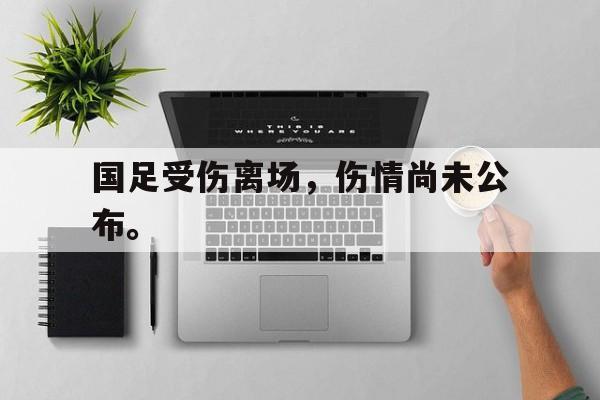 海星tv官网-国足受伤离场，伤情尚未公布。