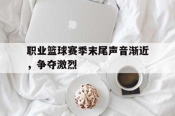 海星体育-职业篮球赛季末尾声音渐近，争夺激烈